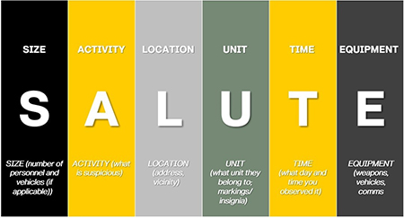 SALUTE graphic SALUTE graphic